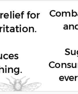 Napillus Ginger, Honey and Propolis Lozenges