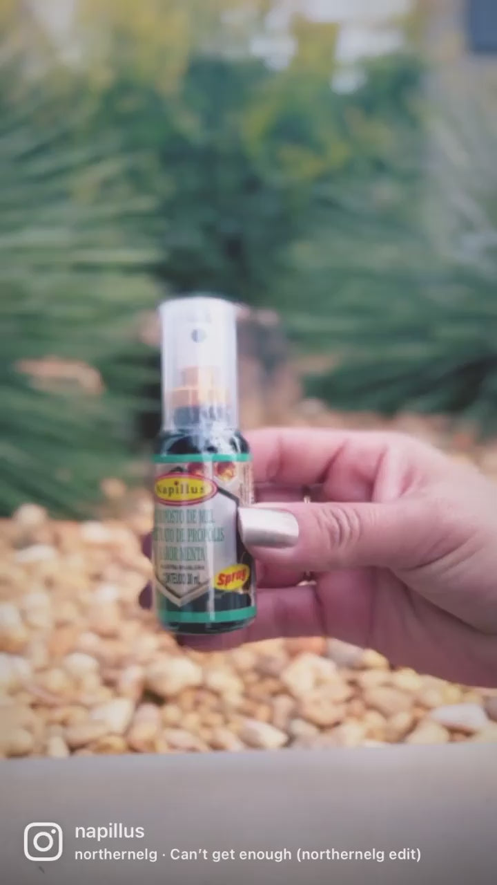 Napillus Honey, Propolis And Mint Spray